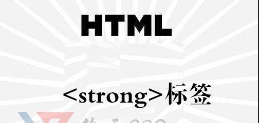 网站中的H1标签有什么作用？如何正确使用H1标签优化SEO？