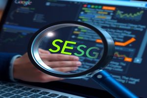 私域流量新攻略：3大SEO红利增长点（实操案例）