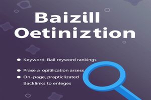 什么是标签？如何优化抓取以提升SEO效果？